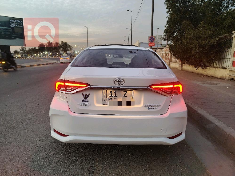 تويوتا كورولا